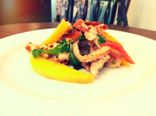Read more about the article Smoked Chicken and Mango Salad