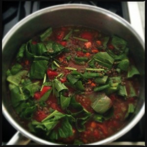 Read more about the article Tomato and Sorrel Soup