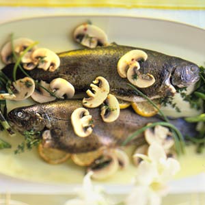 You are currently viewing Trout with Mushrooms